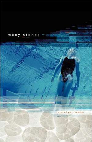 Many Stones de Carolyn Coman