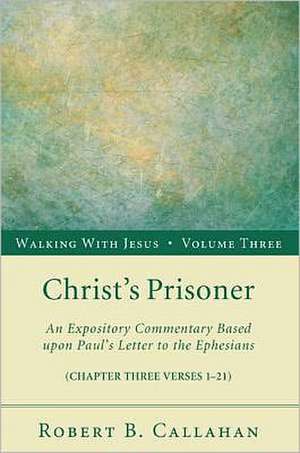 Sin and Redemption: An Expository Commentary Based Upon Paul's Letter to the Ephesians (Chapter Two Verses 1-22) de Robert B. Callahan