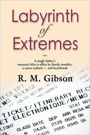 Labyrinth of Extremes: The CAM Gordon Chronicles de R. M. Gibson