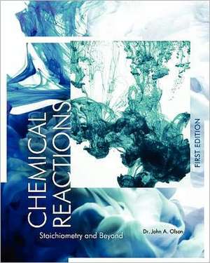 Chemical Reactions: Stoichiometry and Beyond (First Edition) de John A. Olson