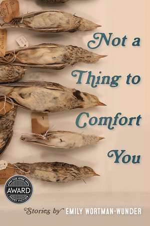 Not a Thing to Comfort You de Emily Wortman-Wunder