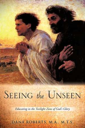 Seeing the Unseen de M. a. M. T. S. Dana Roberts