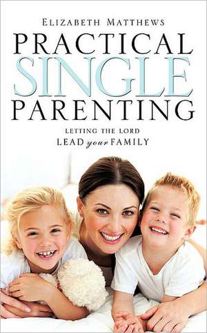 Practical Single Parenting de Elizabeth Matthews