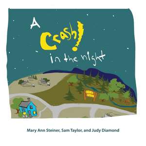 A Crash in the Night de Mary Ann Steiner