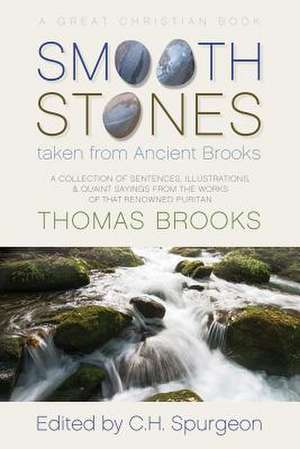 Smooth Stones Taken from Ancient Brooks de Thomas Brooks