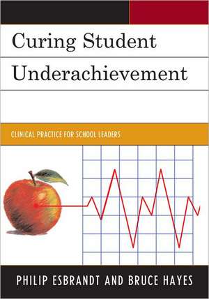 Curing Student Underachievement de Bruce Hayes