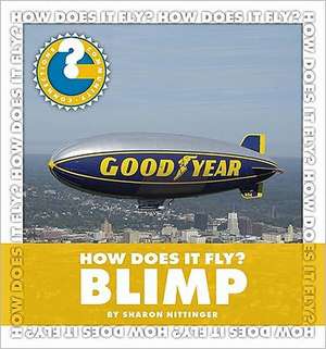 How Does It Fly? Blimp de Sharon Nittinger