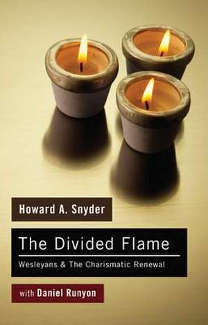 The Divided Flame de Howard A. Snyder