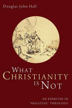 What Christianity Is Not: An Exercise in 'Negative' Theology de Douglas John Hall