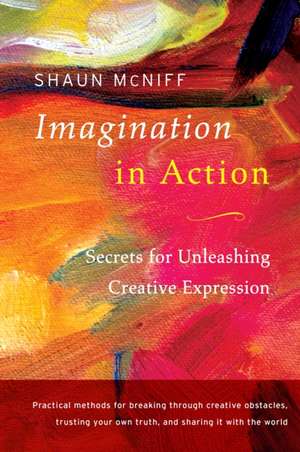 Imagination in Action de Shaun McNiff