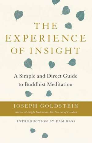 The Experience of Insight de Joseph Goldstein