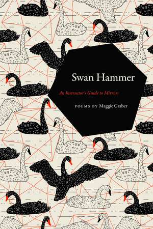 Swan Hammer: An Instructor’s Guide to Mirrors de Maggie Graber