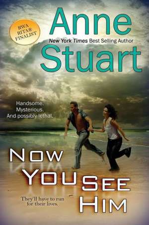 Now You See Him de Anne Stuart