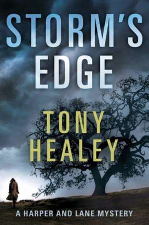 Storm's Edge de Tony Healey