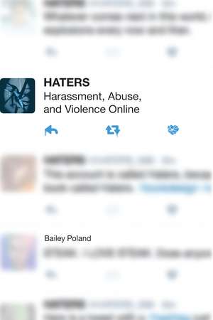 Haters: Harassment, Abuse, and Violence Online de Bailey Poland