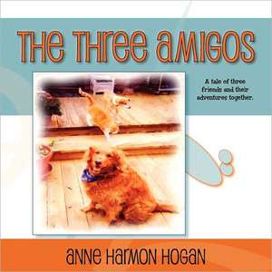 The Three Amigos de Anne Harmon Hogan