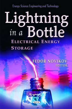 Lightning in a Bottle de Fedor Novikov