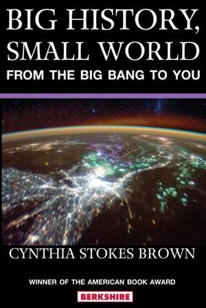 Big History, Small World de Cynthia Stokes Brown