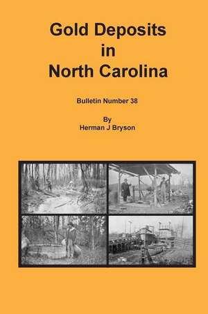 Gold Deposits in North Carolina de Herman J. Bryson