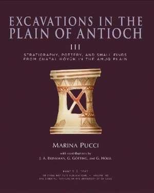 Excavations in the Plain of Antioch Volume III de Marina Pucci