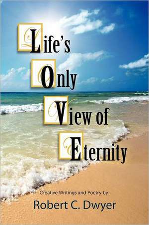 Life's Only View of Eternity de Robert C. Dwyer