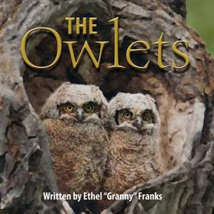 The Owlets de Ethel Franks