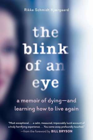 The Blink of an Eye de Rikke Schmidt Kjaergaard