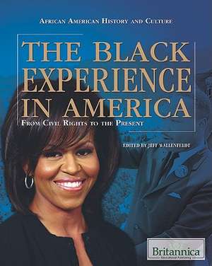 The Black Experience in America: From Civil Rights to the Present de Jeff Wallenfeldt