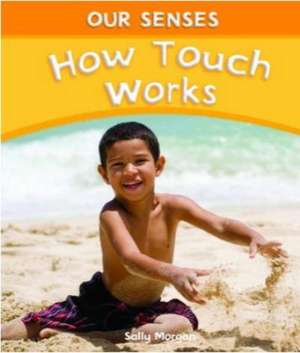 How Touch Works de Sally Morgan