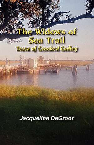 The Widows of Sea Trail-Tessa of Crooked Gulley de Jacqueline DeGroot