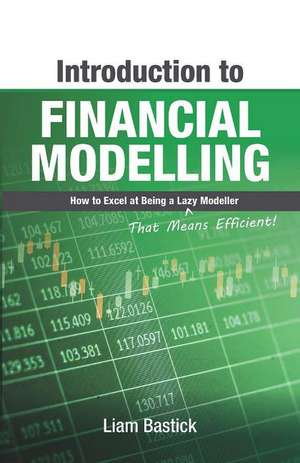 Introduction To Financial Modelling: How to Excel at Being a Lazy (That Means Efficient!) Modeller de Liam Bastick