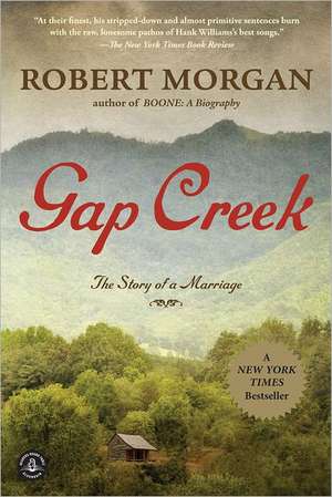 Gap Creek de Robert Morgan