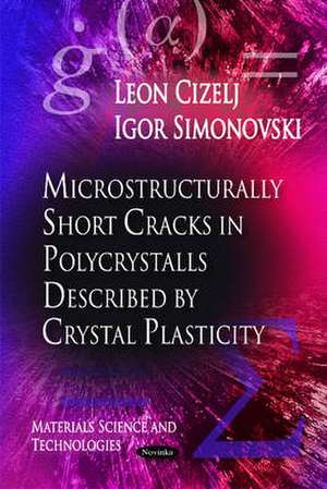 Microstructurally Short Cracks in Polycrystals Described by Crystal Plasticity de Leon Cizelj