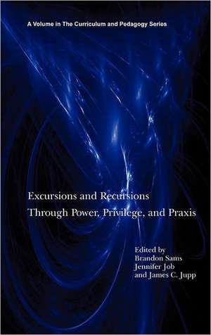 Excursions and Recursions Through Power, Privilege, and Practice (Hc) de Jennifer Job