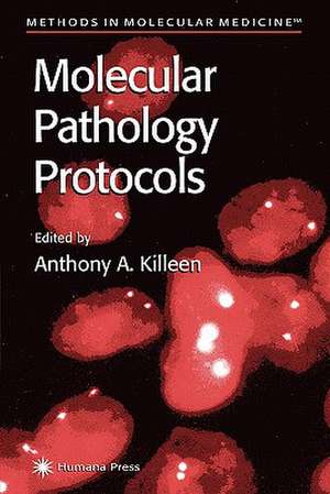 Molecular Pathology Protocols de Anthony A. Killeen