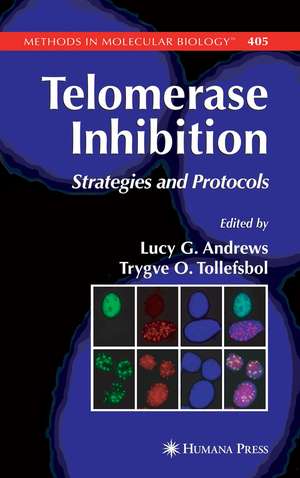 Telomerase Inhibition: Strategies and Protocols de Lucy Andrews