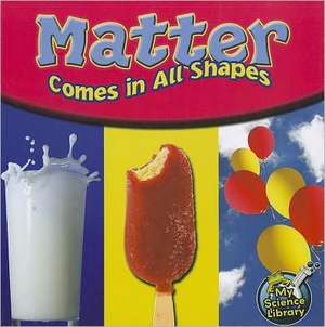 Matter Comes in All Shapes de Amy S. Hansen