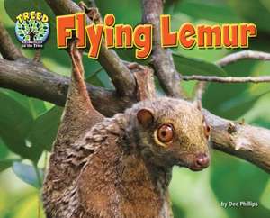 Flying Lemur de Dee Phillips