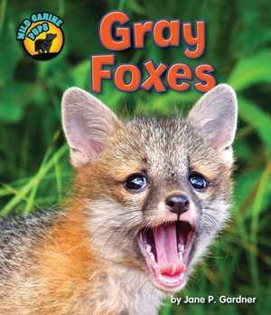 Gray Foxes de Jane P. Gardner