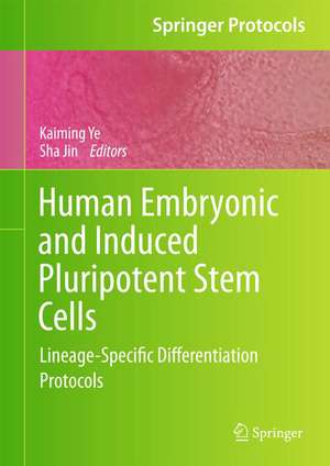 Human Embryonic and Induced Pluripotent Stem Cells: Lineage-Specific Differentiation Protocols de Kaiming Ye