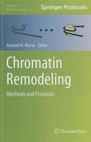 Chromatin Remodeling: Methods and Protocols de Randall H. Morse