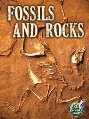 Fossils and Rocks de Kimberly Hutmacher