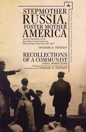 Stepmother Russia, Foster Mother America de Theodore Friedgut