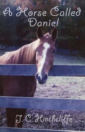 A Horse Called Daniel de J. C. Hinchcliffe