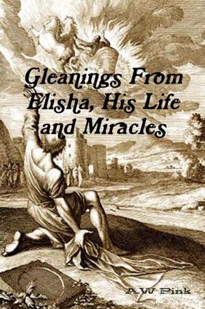 Gleanings From Elisha, His Life and Miracles de A. W Pink