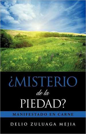 Misterio de La Piedad? de Delio Zuluaga Mejia