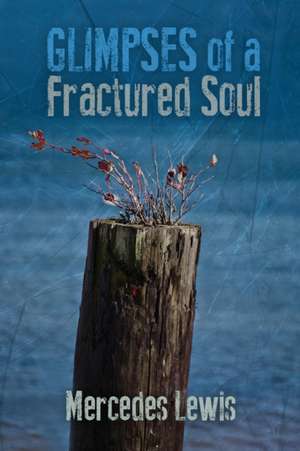 Glimpses of a Fractured Soul de Mercedes Lewis