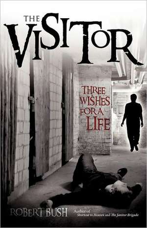 The Visitor de Robert Bush