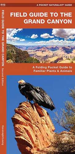 Field Guide to the Grand Canyon: A Folding Pocket Guide to Familiar Plants and Animals