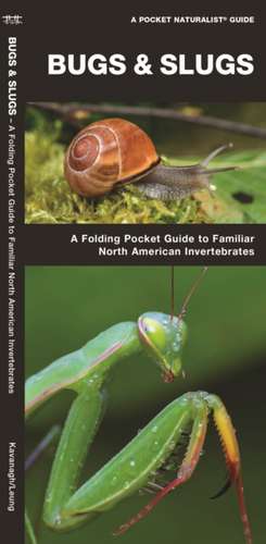 Bugs & Slugs, 2nd Edition: A Folding Pocket Guide to Familiar North American Invertebrates